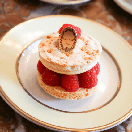 SÉJOURNER EN FAMILLE À SAINT-GERMAIN-DES-PRÉS, LES ADRESSES QUI FONT LA DIFFÉRENCE